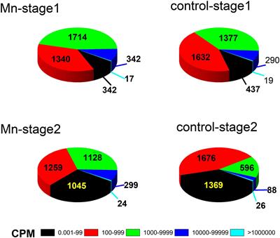 Manganese Stress Adaptation Mechanisms of Bacillus safensis Strain ST7 From Mine Soil